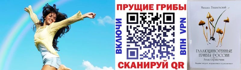 гидра   Грязовец  Псилоцибиновые грибы MAGIC MUSHROOMS 